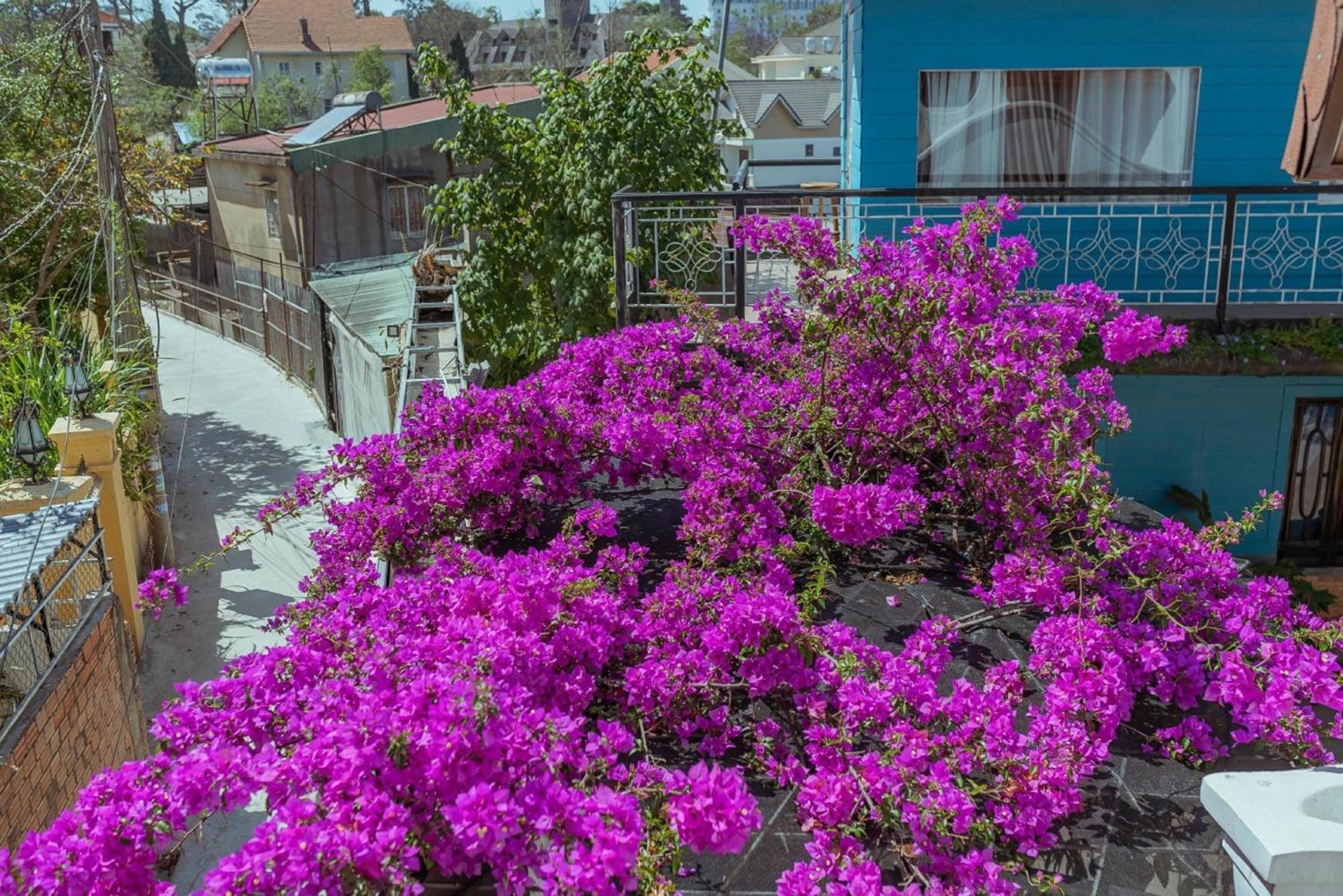 Mhome Далат Экстерьер фото